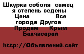 Шкурки соболя (самец) 1-я степень седены › Цена ­ 12 000 - Все города Другое » Продам   . Крым,Бахчисарай